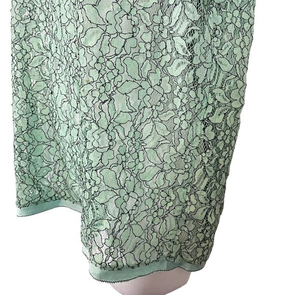 Ann Taylor Loft Green Lace Short Sleeve Sheer Dainty Floral Top Shirt Blouse  M - Picture 10 of 16